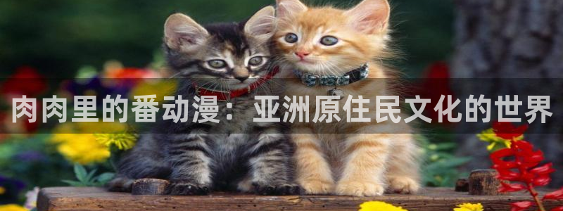 视频羞羞漫画：肉肉里的番动漫：亚洲原住民文化的世界
