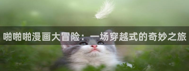 羞羞漫画网页版免费阅读：啪啪啪漫画大冒险：一场穿越式的奇妙之旅