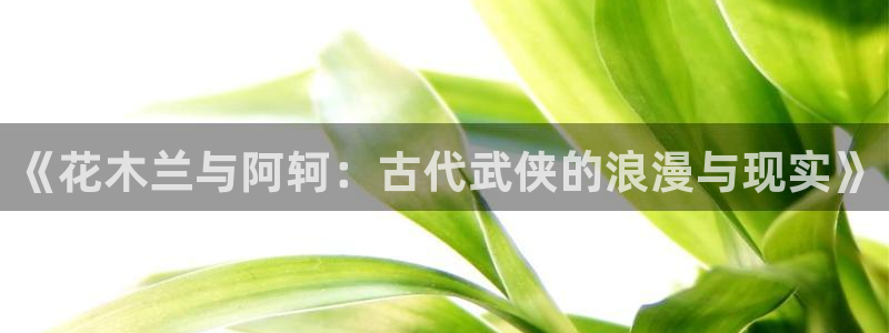 韩国羞羞漫画在线免费观看：《花木兰与阿轲：古代武侠的浪漫与现实》