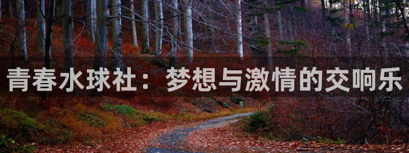 羞羞漫画免费在线：青春水球社：梦想与激情的交响乐