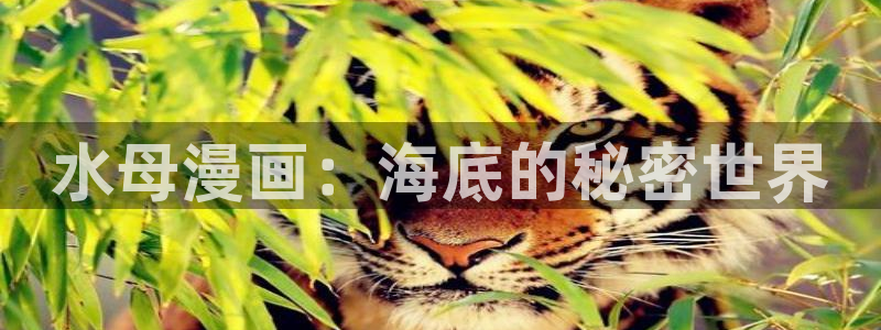羞羞漫画sss在线观看：水母漫画：海底的秘密世界