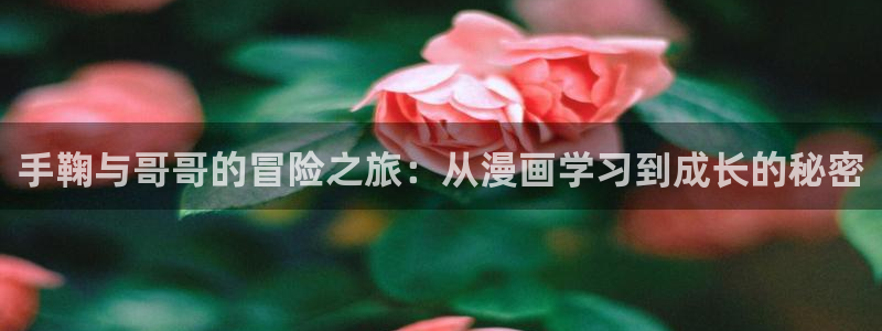 秋蝉羞羞漫画在线观看：手鞠与哥哥的冒险之旅：从漫画学习到成长的秘密