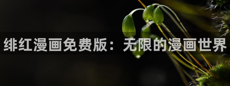 羞羞漫画直接进入：绯红漫画免费版：无限的漫画世界