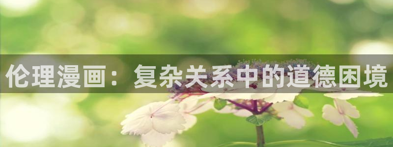 羞羞漫画进去：伦理漫画：复杂关系中的道德困境