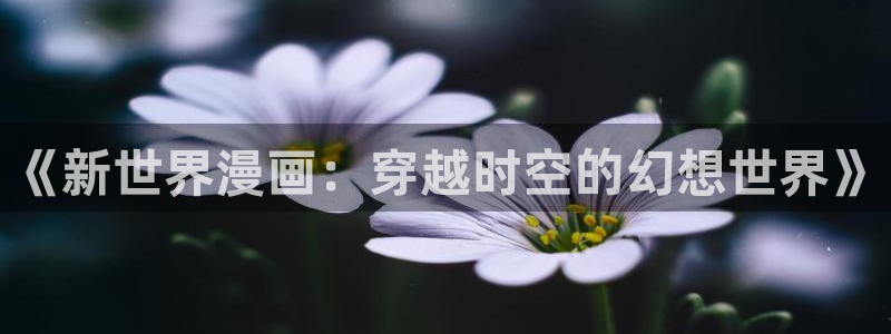 羞羞漫画破解版免费下载：《新世界漫画：穿越时空的幻想世界》