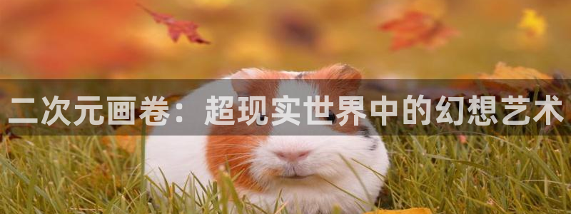 羞羞漫画免费观看sss：二次元画卷：超现实世界中的幻想艺术