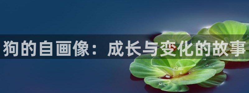 羞羞漫画免费看下拉：狗的自画像：成长与变化的故事