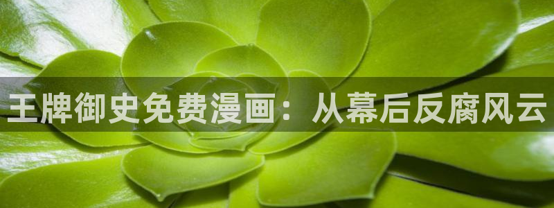 羞羞漫画火影忍者同人大本：王牌御史免费漫画：从幕后反腐风云