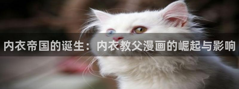 嘿咻羞羞漫画：内衣帝国的诞生：内衣教父漫画的崛起与影响