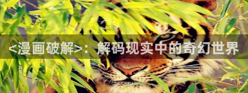 羞羞漫画视频免费看：<漫画破解>：解码现实中的奇幻世界