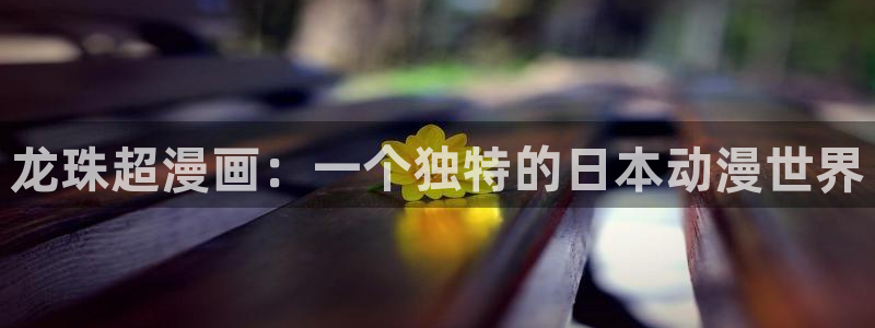羞羞漫画无：龙珠超漫画：一个独特的日本动漫世界