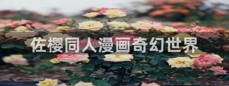 羞羞漫画首页在线：佐樱同人漫画奇幻世界