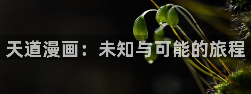 羞羞漫画大全套：天道漫画：未知与可能的旅程