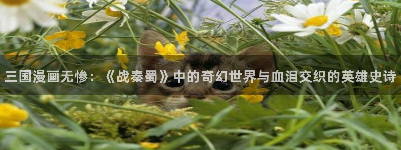 羞羞漫画3d入口：三国漫画无惨：《战秦蜀》中的奇幻世界与血泪交织的英雄史诗