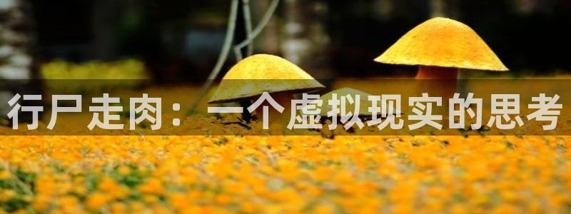 羞羞漫画平台下载：行尸走肉：一个虚拟现实的思考