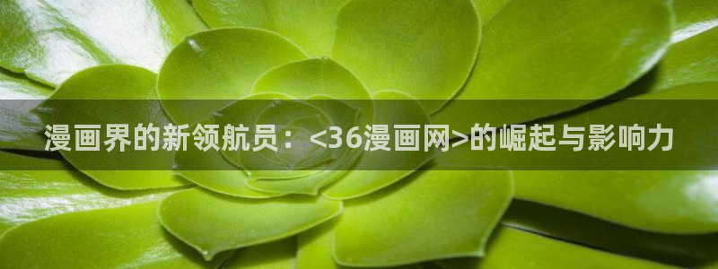 羞羞漫画yymh：漫画界的新领航员：<36漫画网>的崛起与影响力