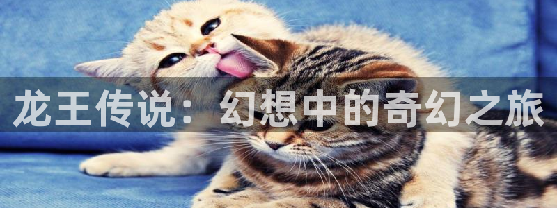 羞羞漫画裸身：龙王传说：幻想中的奇幻之旅