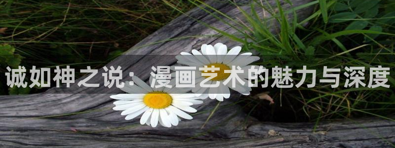 羞羞漫画x：诚如神之说：漫画艺术的魅力与深度