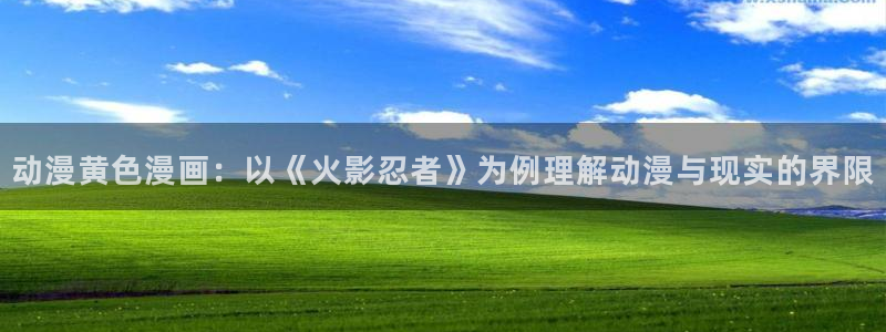 羞羞漫画 汗汗漫画：动漫黄色漫画：以《火影忍者》为例理解动漫与现实的界限