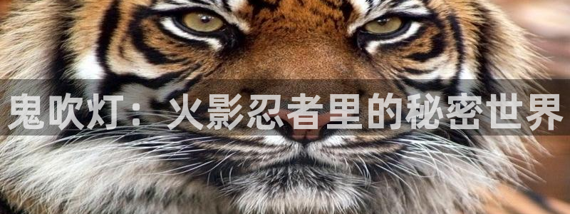 羞羞漫画入口免费：鬼吹灯：火影忍者里的秘密世界