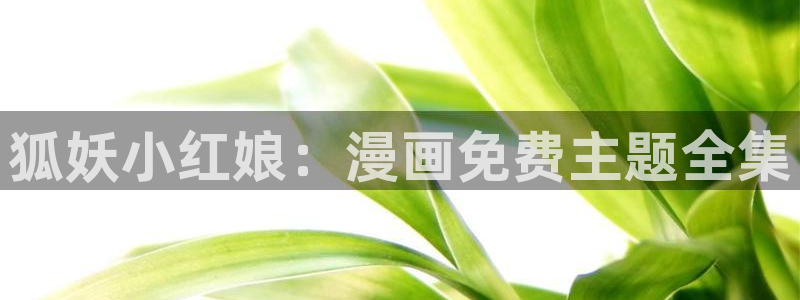 羞羞漫画最新网站入口