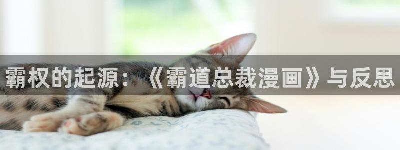 羞羞漫画裸身：霸权的起源：《霸道总裁漫画》与反思