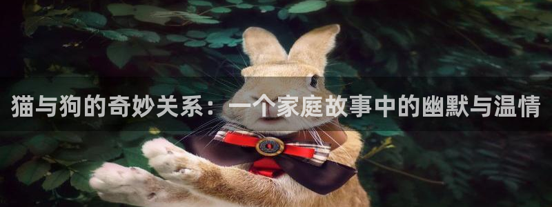 羞羞漫画在线观看在线观看：猫与狗的奇妙关系：一个家庭故事中的幽默与温情